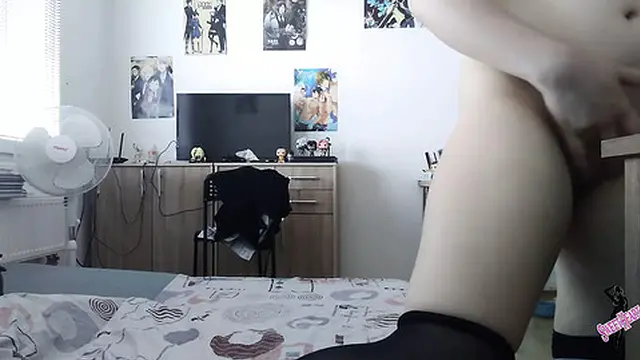 Blonde Shemale Sucks Her Own Dicks In Black Thigh Highs