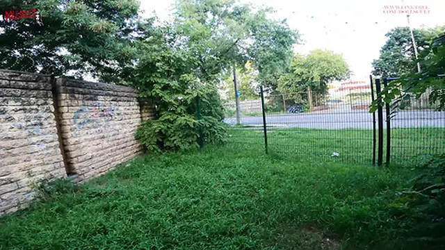 Dirty Public F**k Fest: Hot Dual Handjobs