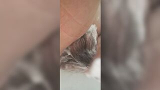 A horny🥵 granny licking her thick, fluffy muff