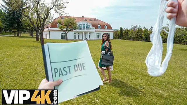 His Sperm &mdash;  Her Filing for Bankruptcy &mdash;  Then Getting Owned