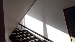 raw, unbridled passion on naked steps