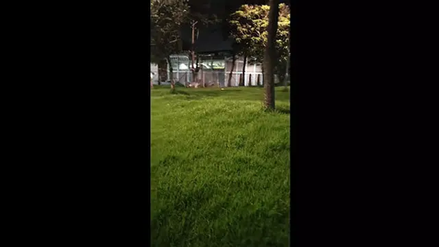 Encounter with a stunning young lady who gives me her attention