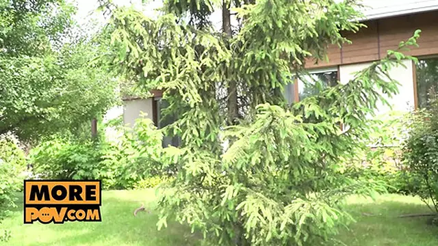 Classy Babe Tina Kay Seduces You in Naughty😈 Storyline