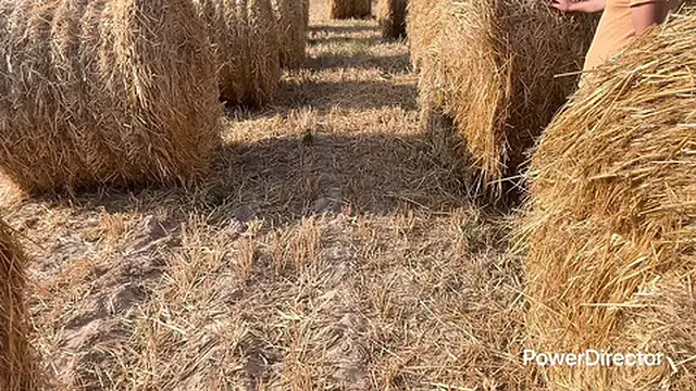 Fuck in the wild &mdash;  we almost got caught! He covered me in