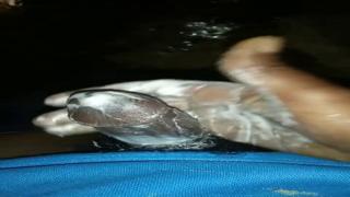 Blowjobs for the sake of my filthy sex tape